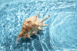 Sea and Spirit Healing